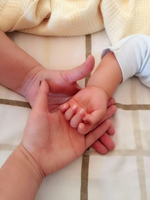 新抚检察院陈紫光1