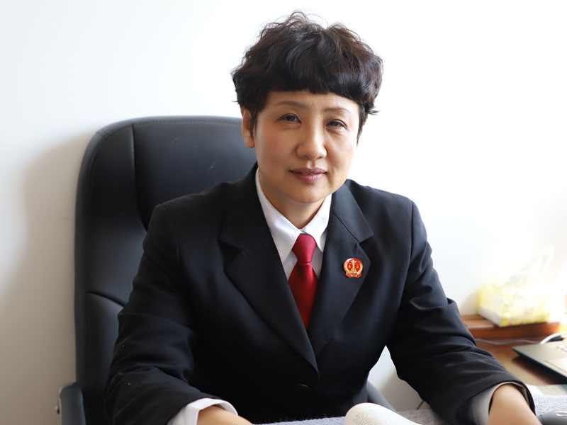 葫芦岛市中级人民法院执行局局长 安静