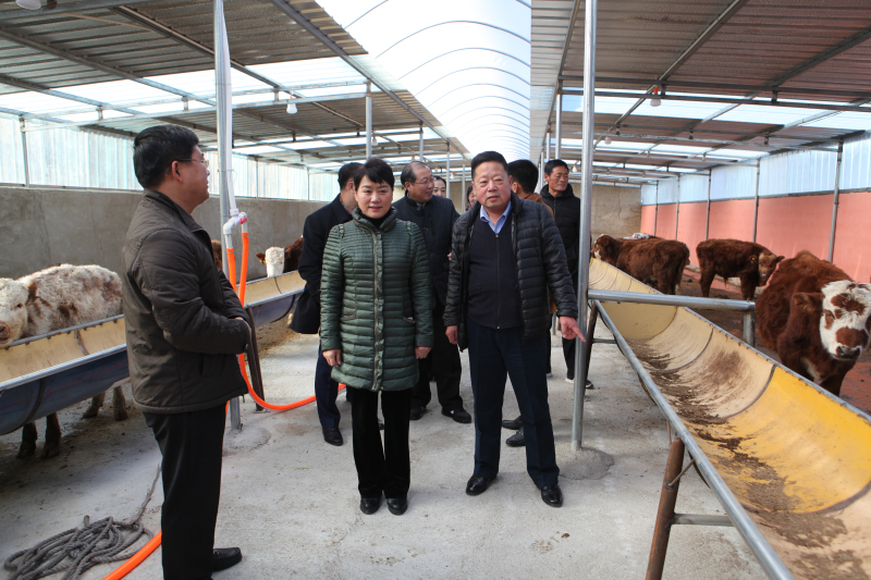 微信图片_20191224154025_编辑