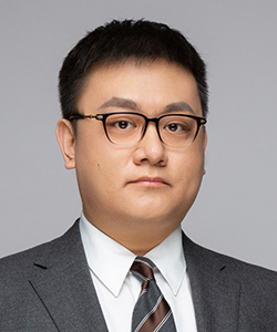 陈甦