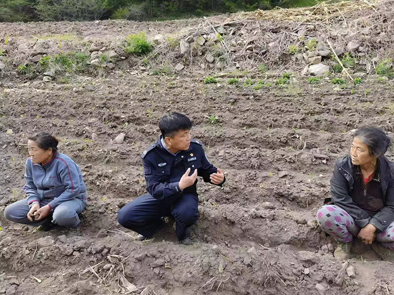 张献军（左二）在田间地头为村民化解矛盾