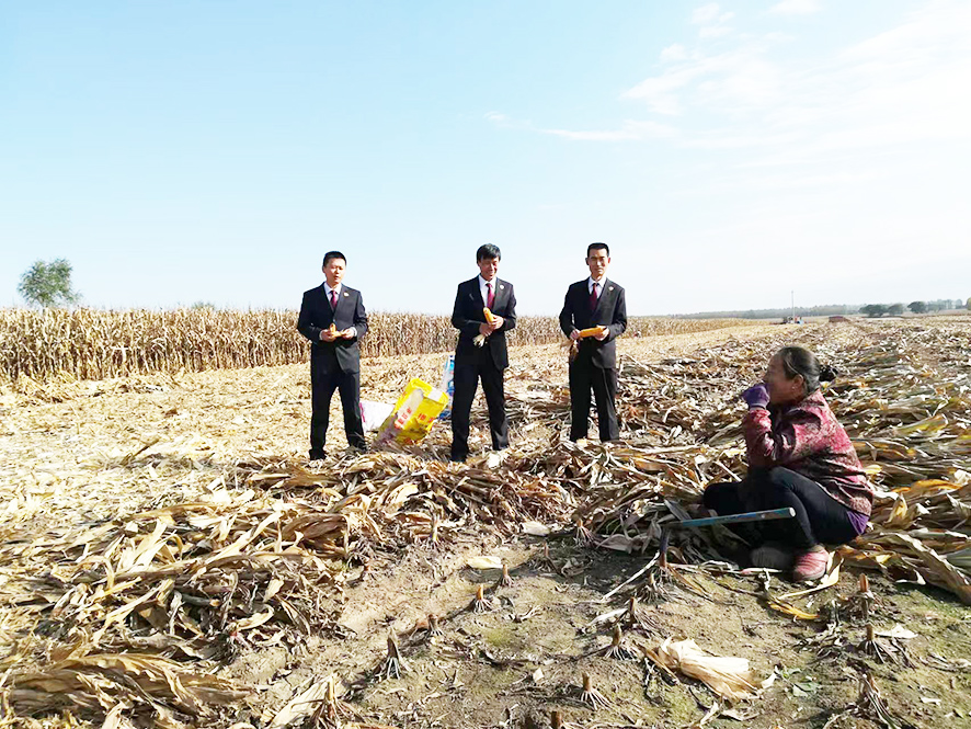 配文2：检察官田间走访当事人。