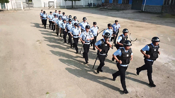 图片1