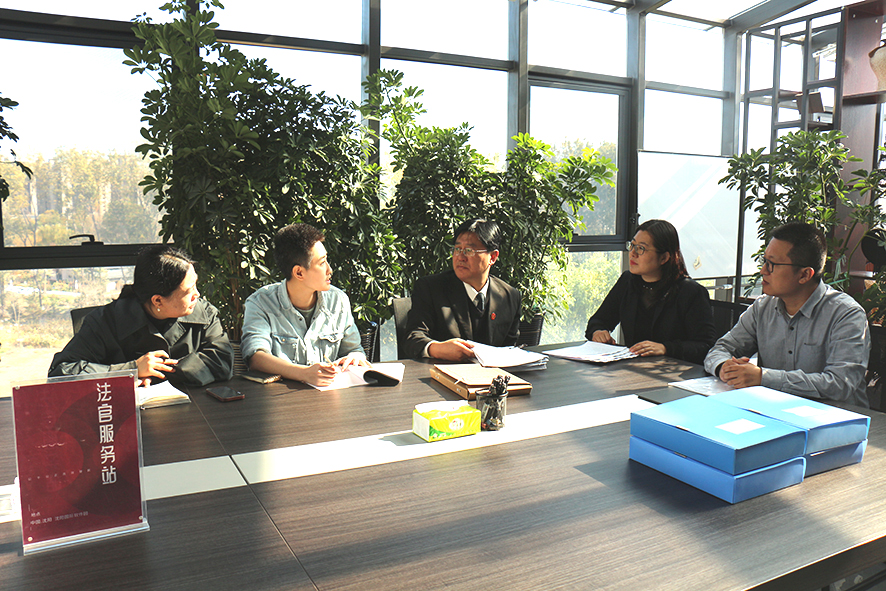 桃仙法庭庭长金凯东（中）在“法官服务站”与某投资管理有限公司相关人员交流