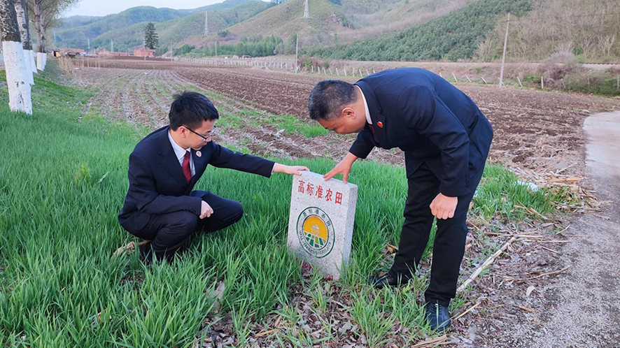 检察官查看高标准农田标志