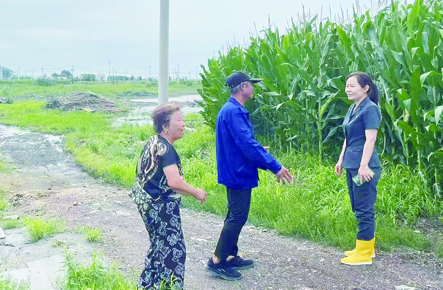 杨光法官在案涉玉米杆堆放现场