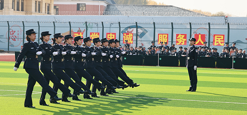 指挥比武1