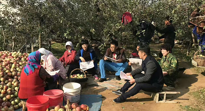 2——大连——村两委组织村民开展协商议事 (1)