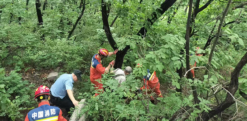 密林中护老人下山