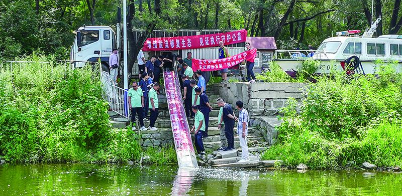 鱼苗乘着“滑梯”游入湖中