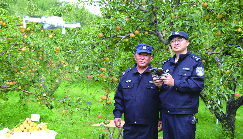民警在果园用无人机巡逻