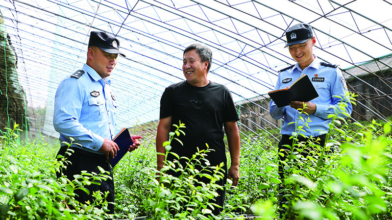 民警沉入大棚了解蓝莓种植情况 (3)