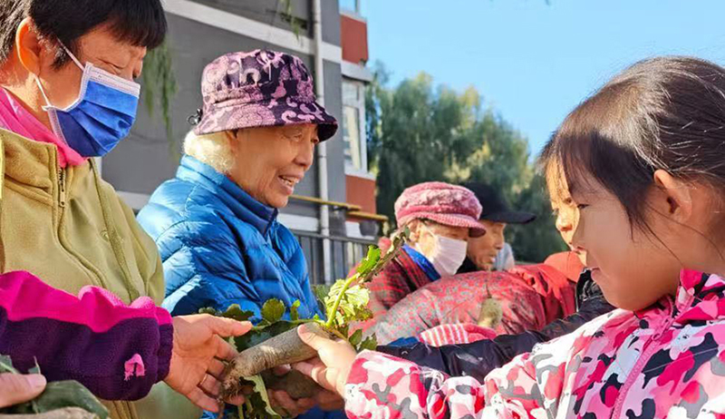 1社区工作者带领孩子们把在沈阳市沈河区翠塔社区儿童活动空间“一米菜园”收获的蔬菜送给辖区老年人