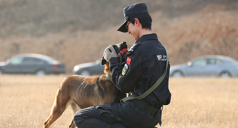 训导员与警犬亲密互动