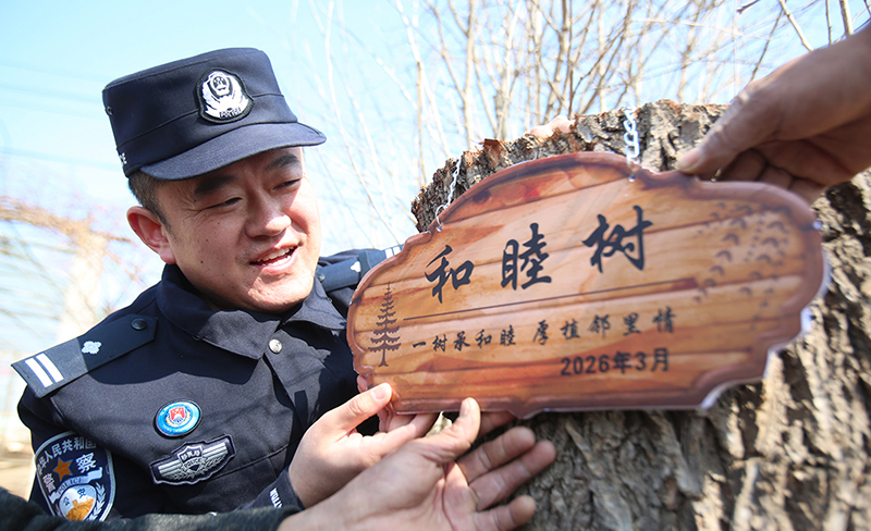 半截柳树有了新名字